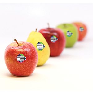 CMI Orchards Apples