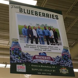 Fresh Blueberries Signage