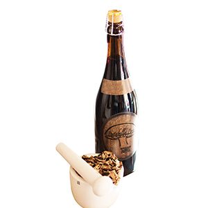 Mushroom and Beer Pairing