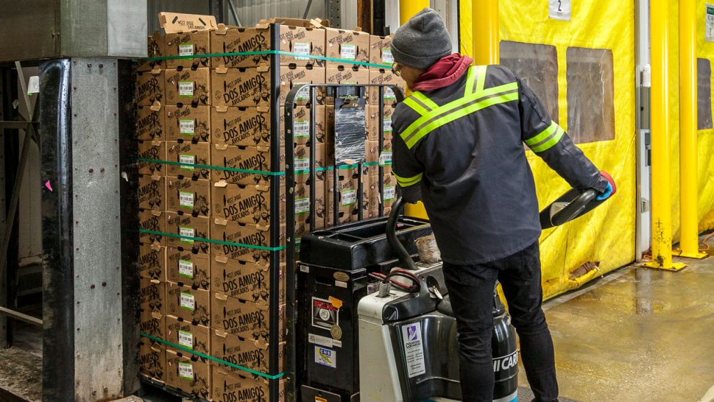John Vena Inc., located in the Philadelphia Wholesale Produce Market, conditions avocados, mangos, and plantains to meet customer color, pressure or Brix specifications.