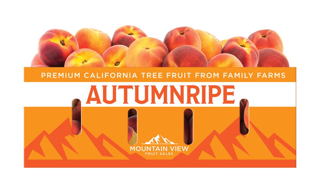 Mountain View Fruit, Reedley, CA, has developed the Autumn Ripe label so that retailers can transition displays from the the Summertime and Summeripe brands to Autumnripe. Mountain View can provide retailers with a full complement of autumn-themed merchandising bins, materials, and digital tools.