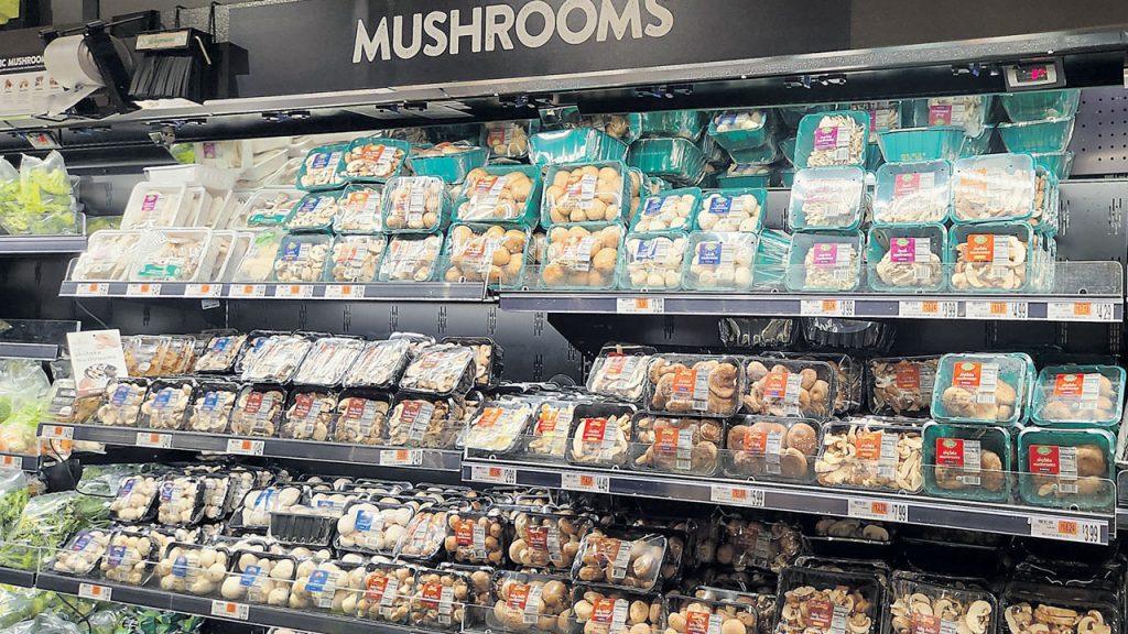 Wegmans is among those food retailers that merchandise mushrooms prominently in its produce sections. At the Wegmans store in Brooklyn, NY, during Thanksgiving, they go through cases and cases of mushrooms, says Alex Secory, produce department manager.