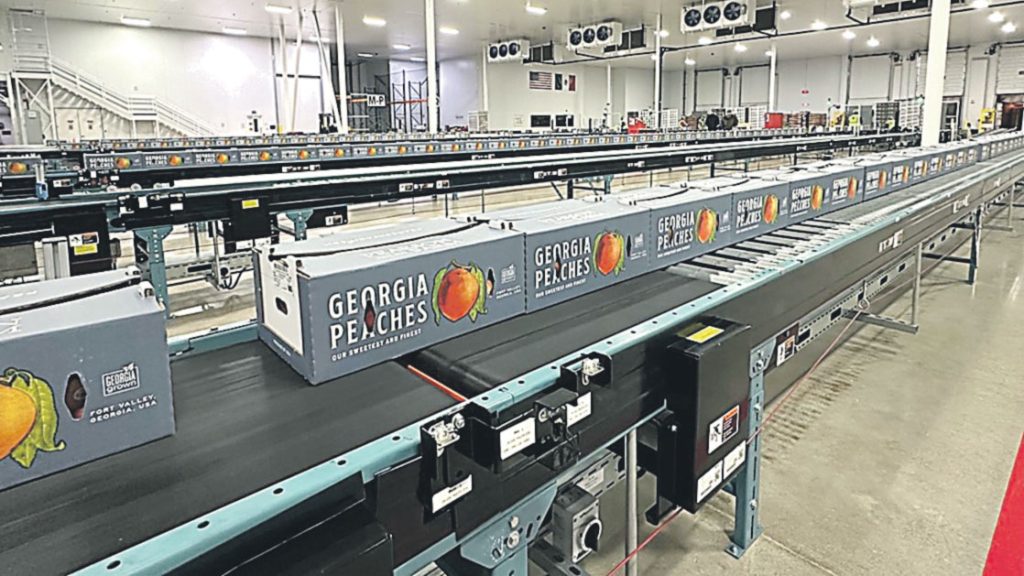Georgia Grown peaches were exported to Mexico for the first time in 27 years on June 20.