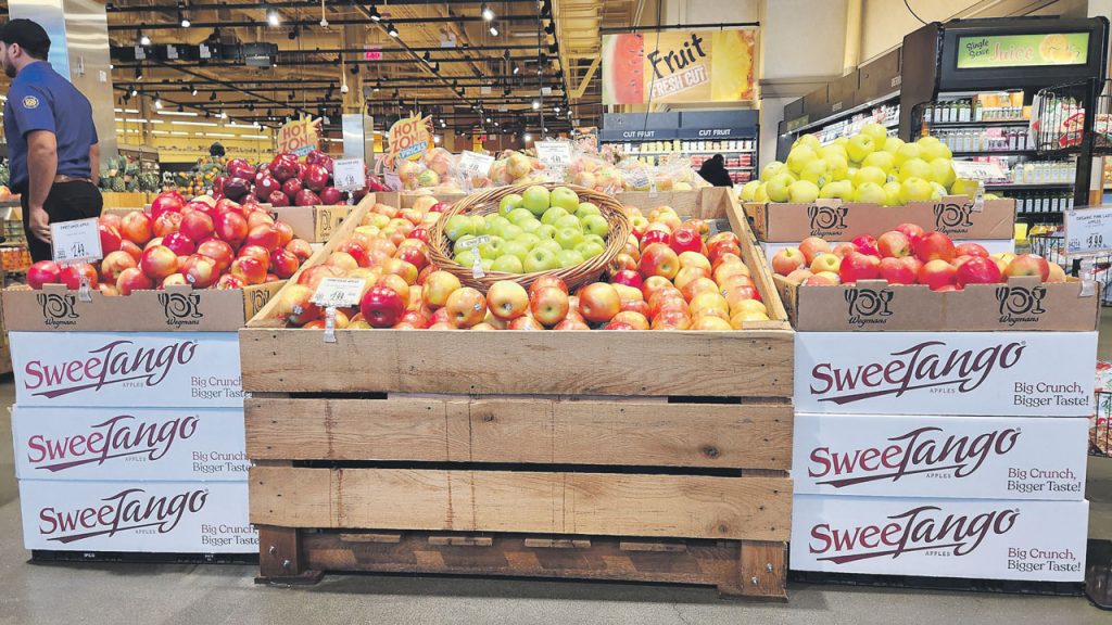 The New York apple season kicks off with early season varieties, including Paula Red, Ginger Gold, Jonamac, Zestar! and Premier Honeycrisp, followed by SweeTango, Honeycrisp, McIntosh, Gala, SnapDragon Macoun, Empire, EverCrisp, Fuji, Red Delicious and RubyFrost.