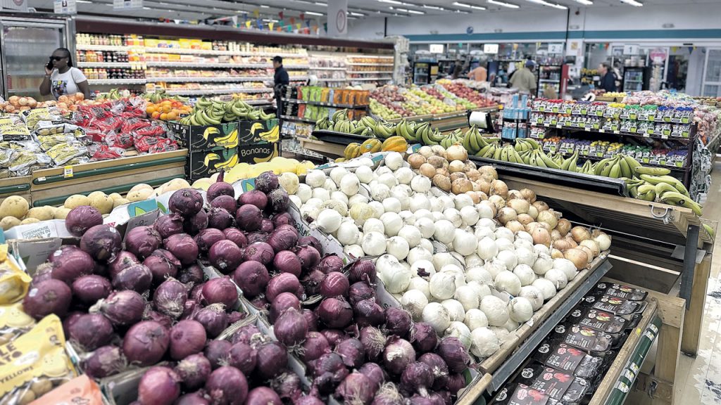 Peruvian onion production is on the rise, according to the country’s export promotion agency, PromPeru. Output increased from 526,000 metric tons in 2022 to 591,000 tons in 2025, reflecting a steady upward trend.