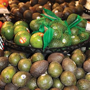 selling avocados