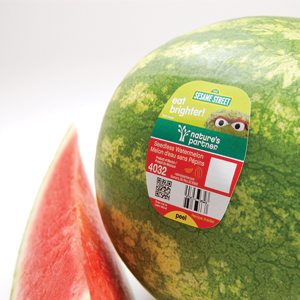 Cut Whole Watermelon