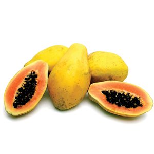 Tropical Fruit like papaya