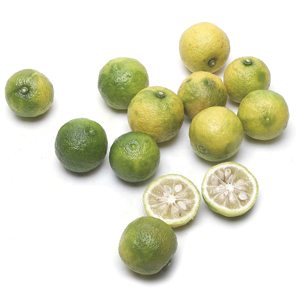 Yuzu Citrus