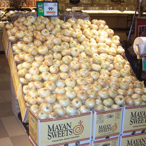 Bulk Onion Display