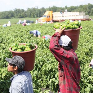 farmhands