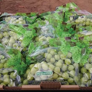 green seedless grapes