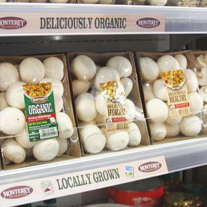 Monterey Mushrooms Display