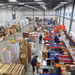 Loffredo Distribution Center