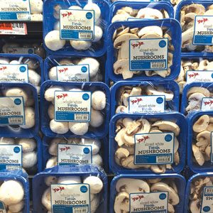 To-Jo Mushroom Varieties