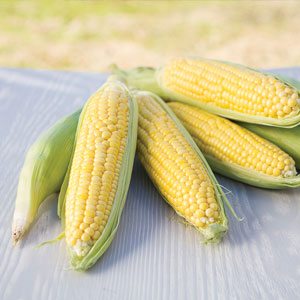 Sweet Corn