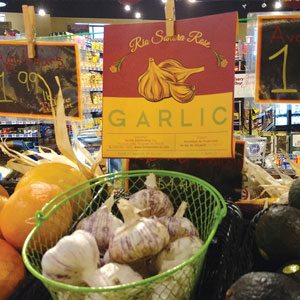 Garlic Display