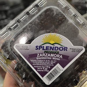 Splendor Brand Blackberries