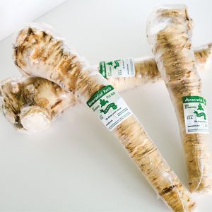 Horseradish Root