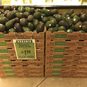 Avocado Boxes