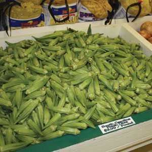 Okra