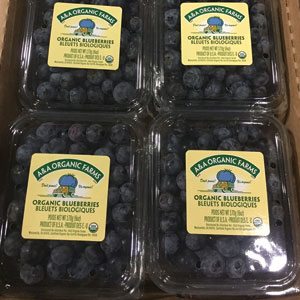 A&A Organic Blueberries