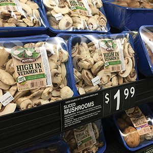 Monterey Mushrooms Display