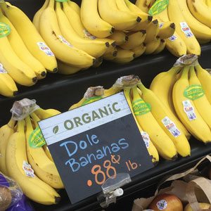 Organic Banana Pricing