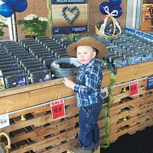 Blueberry Display