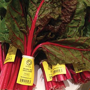 Organic Red Lettuce