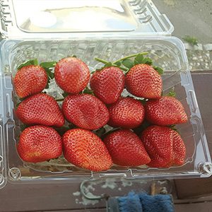 Strawberry Carton