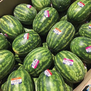 Watermelons