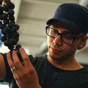 receiver inspecting a bunch of grapes Katzman