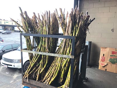 Wholesale Market Profile, Boston, Produce Business, December 2018