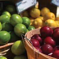 NY Food Scene, Produce Business, December 2018