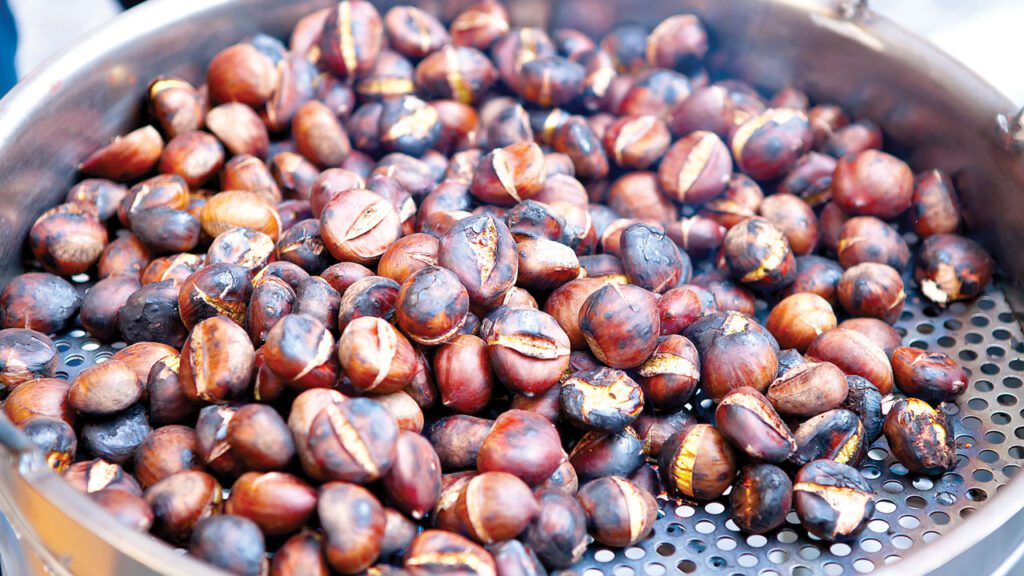 The smell of roasting chestnuts can immediately boost sales. Philadelphia-based Procacci Brothers has portable ovens retailers can use to roast chestnuts in the store.