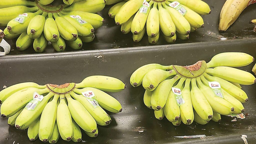 There is a growing consumer interest in Baby Bananas, known for their sweetness and convenience as a snack.