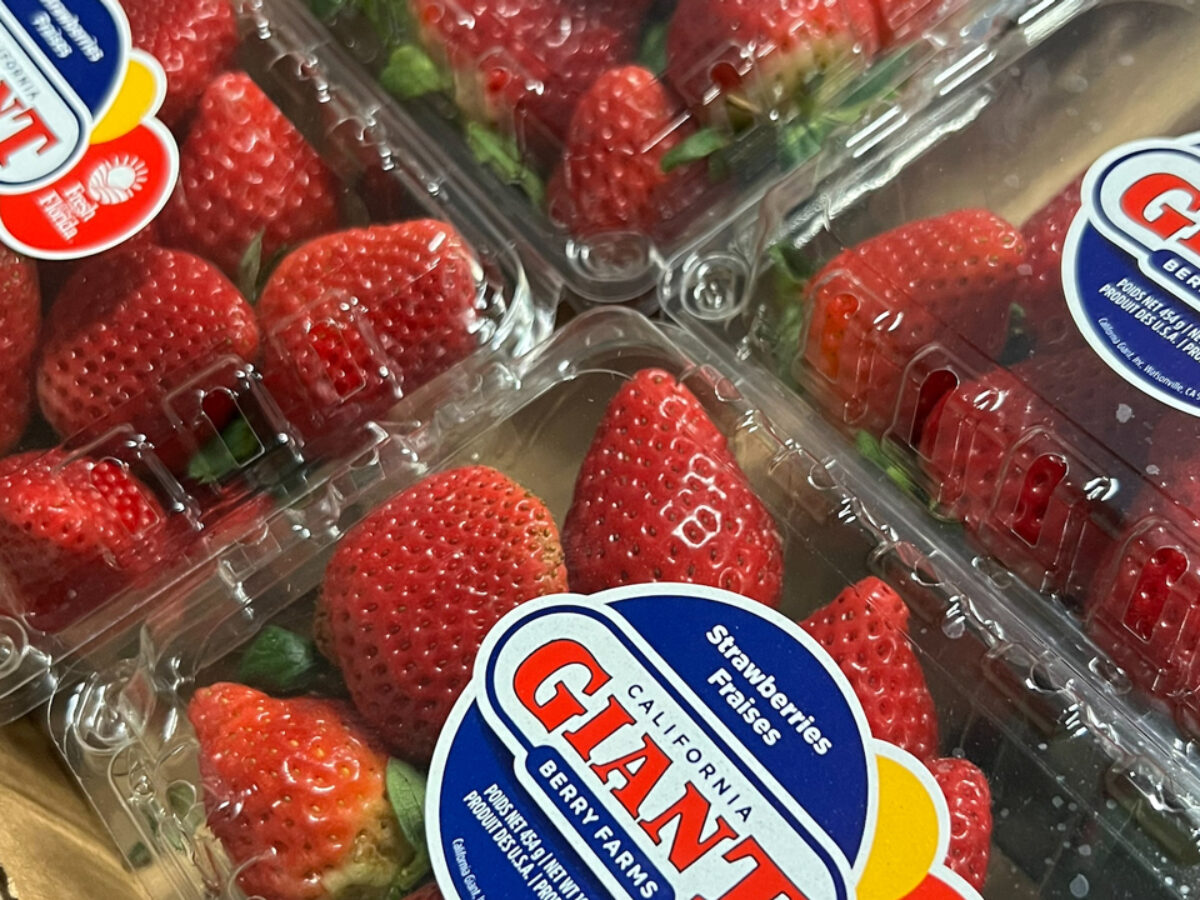 California Giant Forecasts Strong Strawberry Volumes - Produce