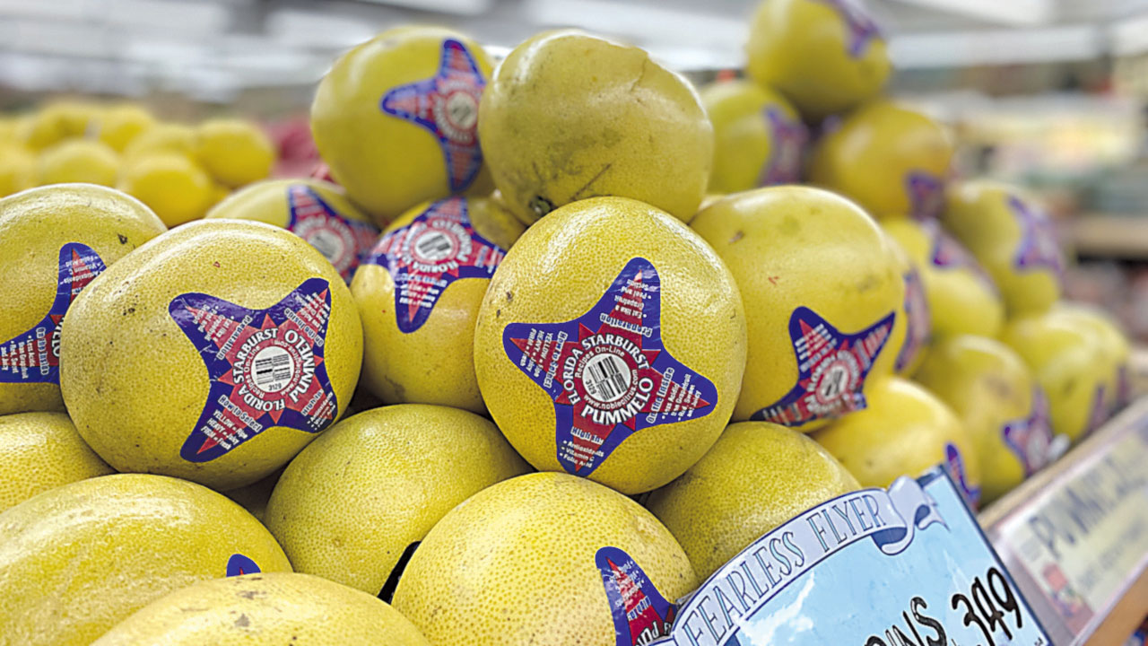 january-procurementcitrus-