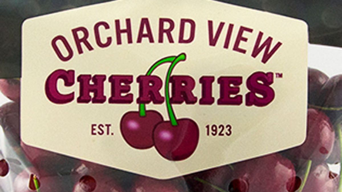 Orchard View Cherries to Deliver Standout Season With 30% Larger