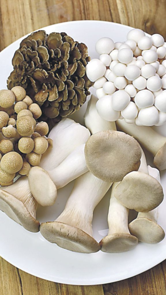 Operators are leaning into premiumization, according to Cristie Mather, vice president, marketing at The Mushroom Council in Portland, OR, spotlighting specialty varieties, such as maitake, oyster and king trumpet, to bring something unique to the plate.