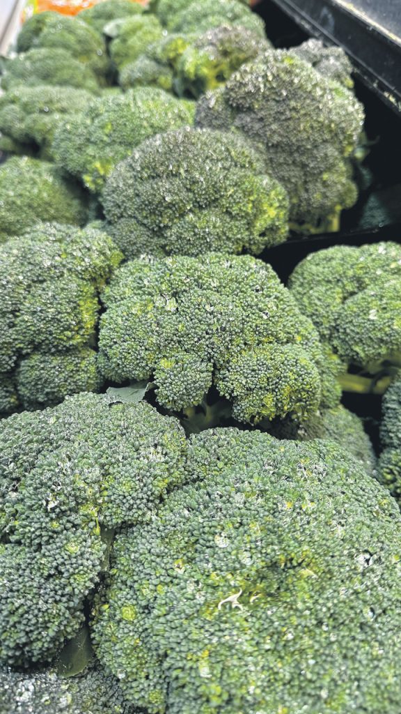 To keep a broccoli display looking fresh, retailers should store and merchandise in refrigeration at temperatures between 32 to 36 degrees, as well as removing any items that look damaged, shriveled or dry to maintain visual appeal. Raw broccoli, in particular, should be merchandised under misters to help maintain freshness and prevent moisture loss.