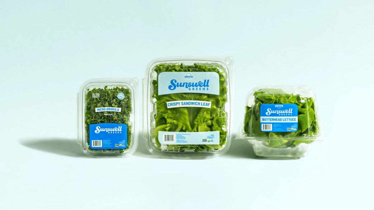 Sunswell2-1200x675.jpg