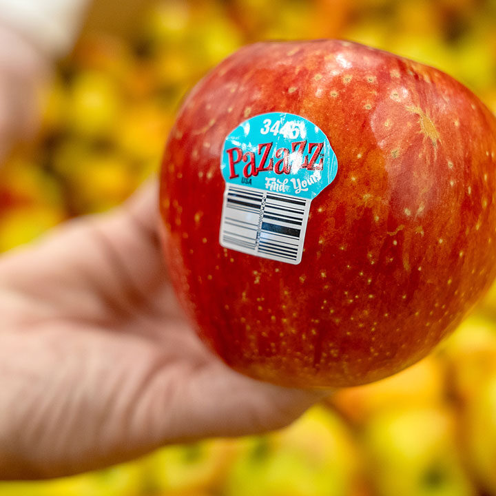 Apple - onebrid出品 Honeybear Brands Spotlights Exclusive Apple Varieties - Produce