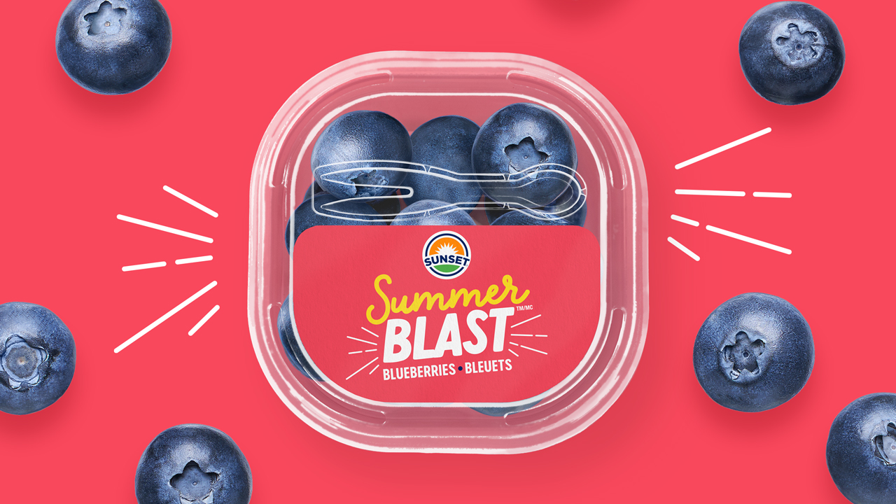 SUMMER BLAST BLUEBERRY SNACKING CUP