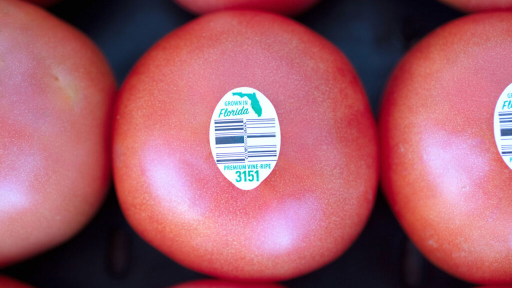 Favorable weather conditions have generated high hopes for this year’s Florida tomato crop. Florida-grown tomatoes include cherry, grape, Roma, round and heirloom varieties.