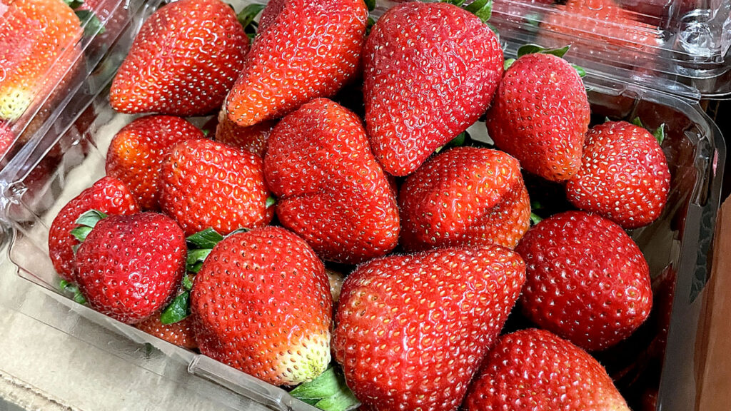 Avocados and berries, including strawberries, blueberries, raspberries and blackberries, have grown the fastest among Mexico-to-U.S. horticultural imports over the past decade.