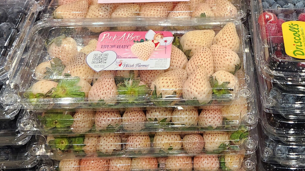 Wish Farms, Plant City, FL, produces premium fruit that’s shipped fresh to customers across the U.S. and Canada.