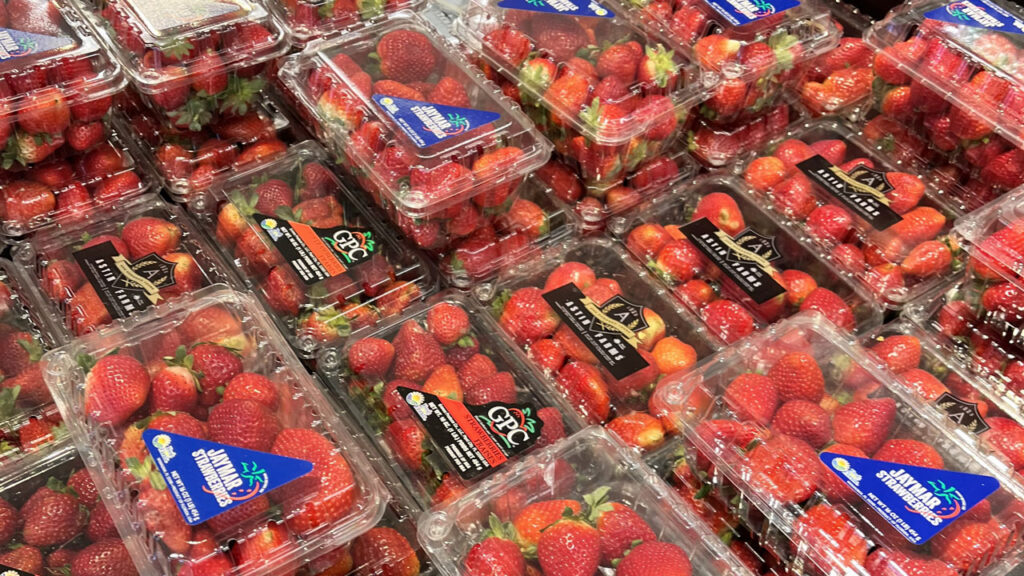 Florida strawberries are so popular with shoppers that growers are expanding to meet demand. Florida has over 15,000 acres of fresh strawberries in production, an increase of about 2,000 acres compared to last year.