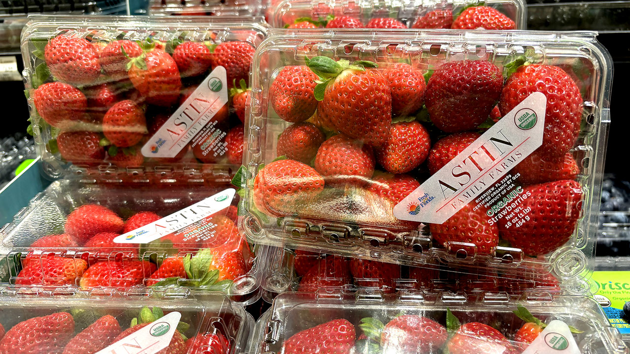 FL Strawberries 'Promote Themselves' - Produce Business